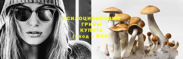 MESCALINE Аркадак