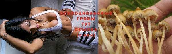 метамфетамин Армянск
